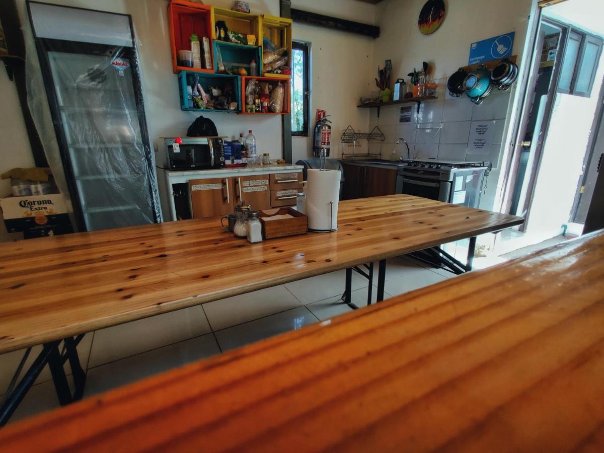 Rey Lagarto Hostel San Pedro De Atacama Zewnętrze zdjęcie