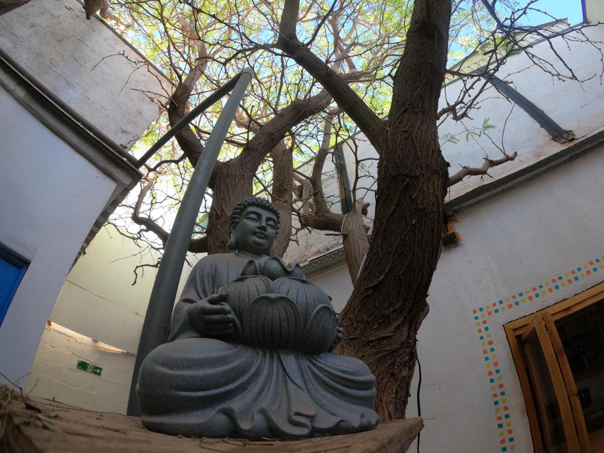 Rey Lagarto Hostel San Pedro De Atacama Zewnętrze zdjęcie
