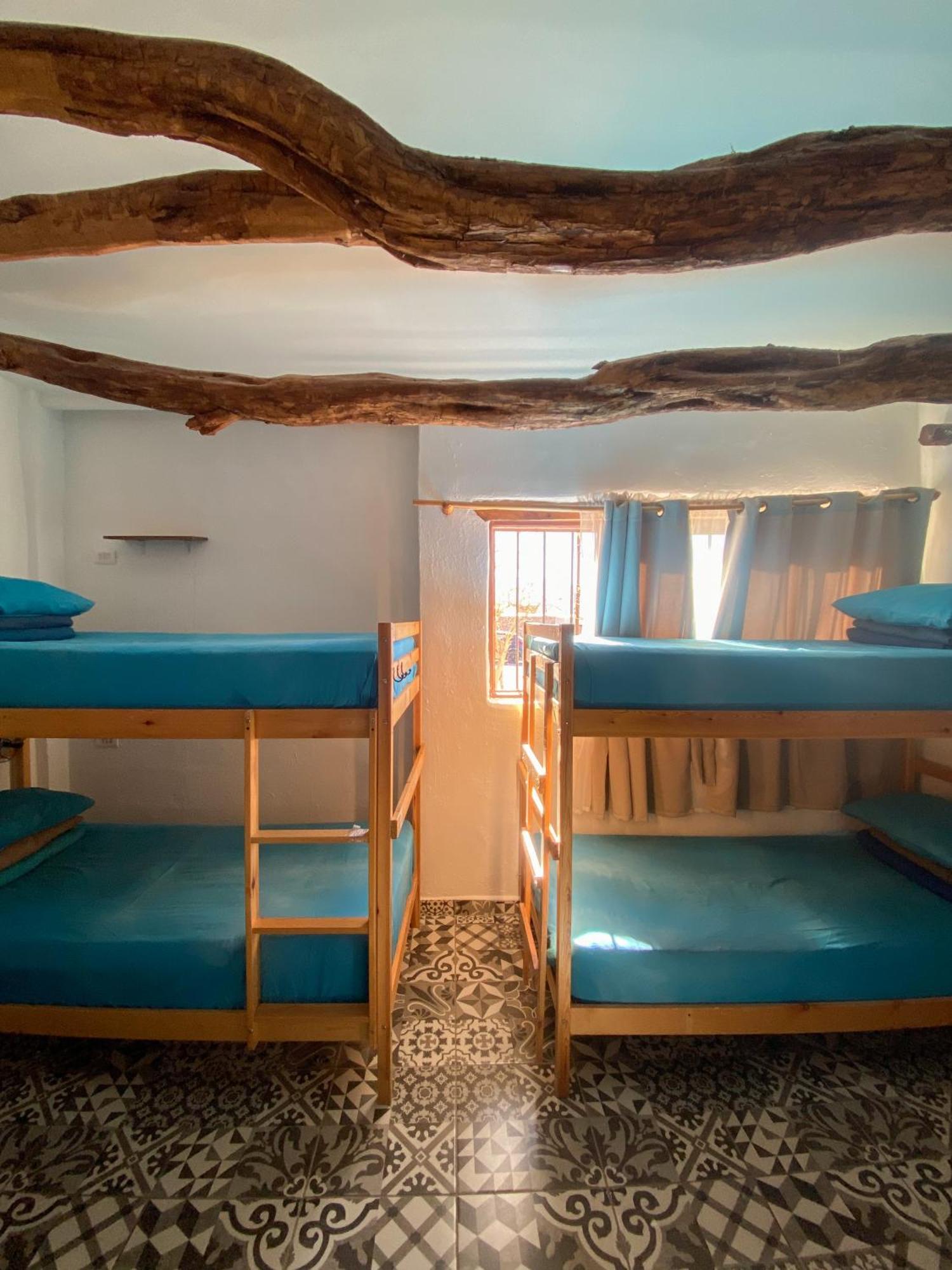 Rey Lagarto Hostel San Pedro De Atacama Zewnętrze zdjęcie