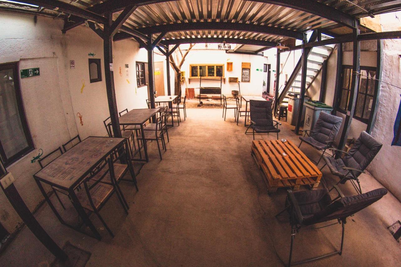 Rey Lagarto Hostel San Pedro De Atacama Zewnętrze zdjęcie
