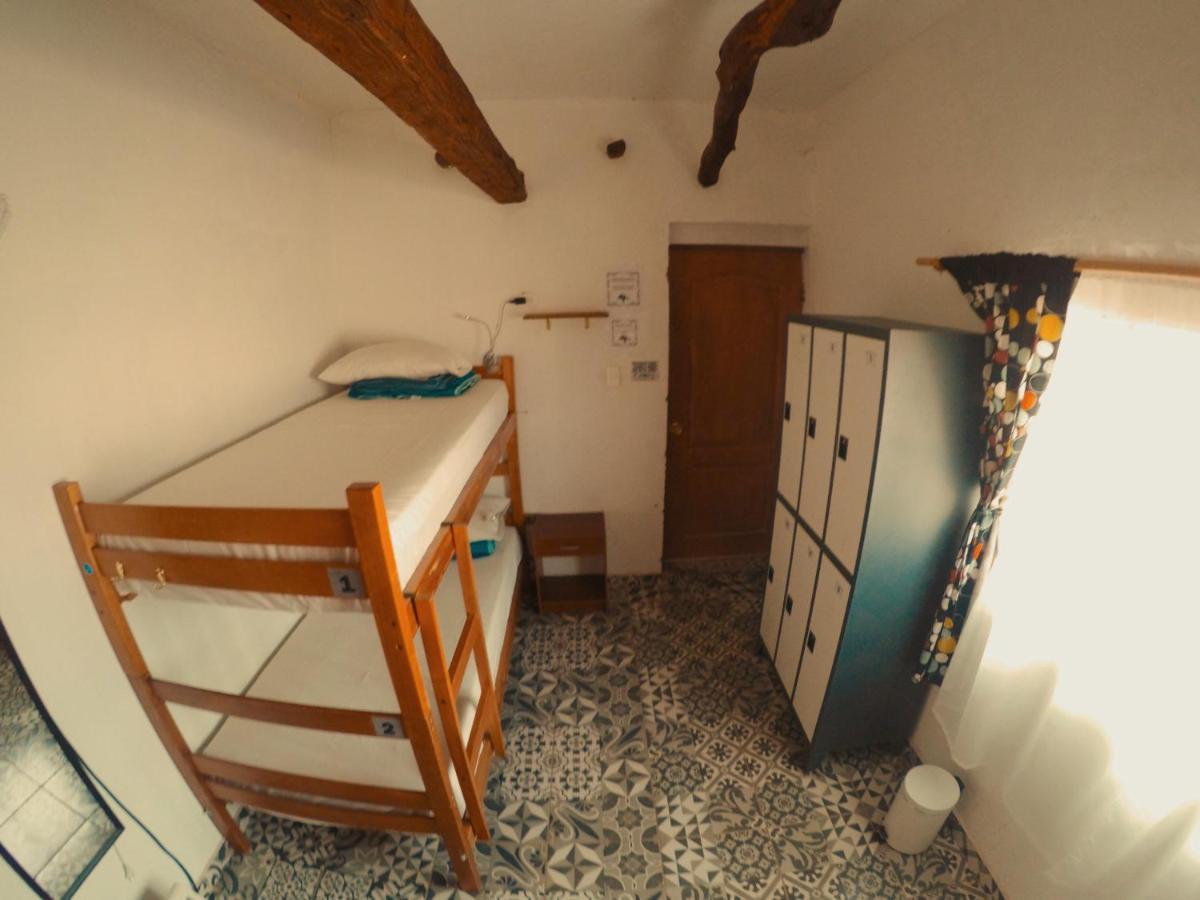Rey Lagarto Hostel San Pedro De Atacama Zewnętrze zdjęcie