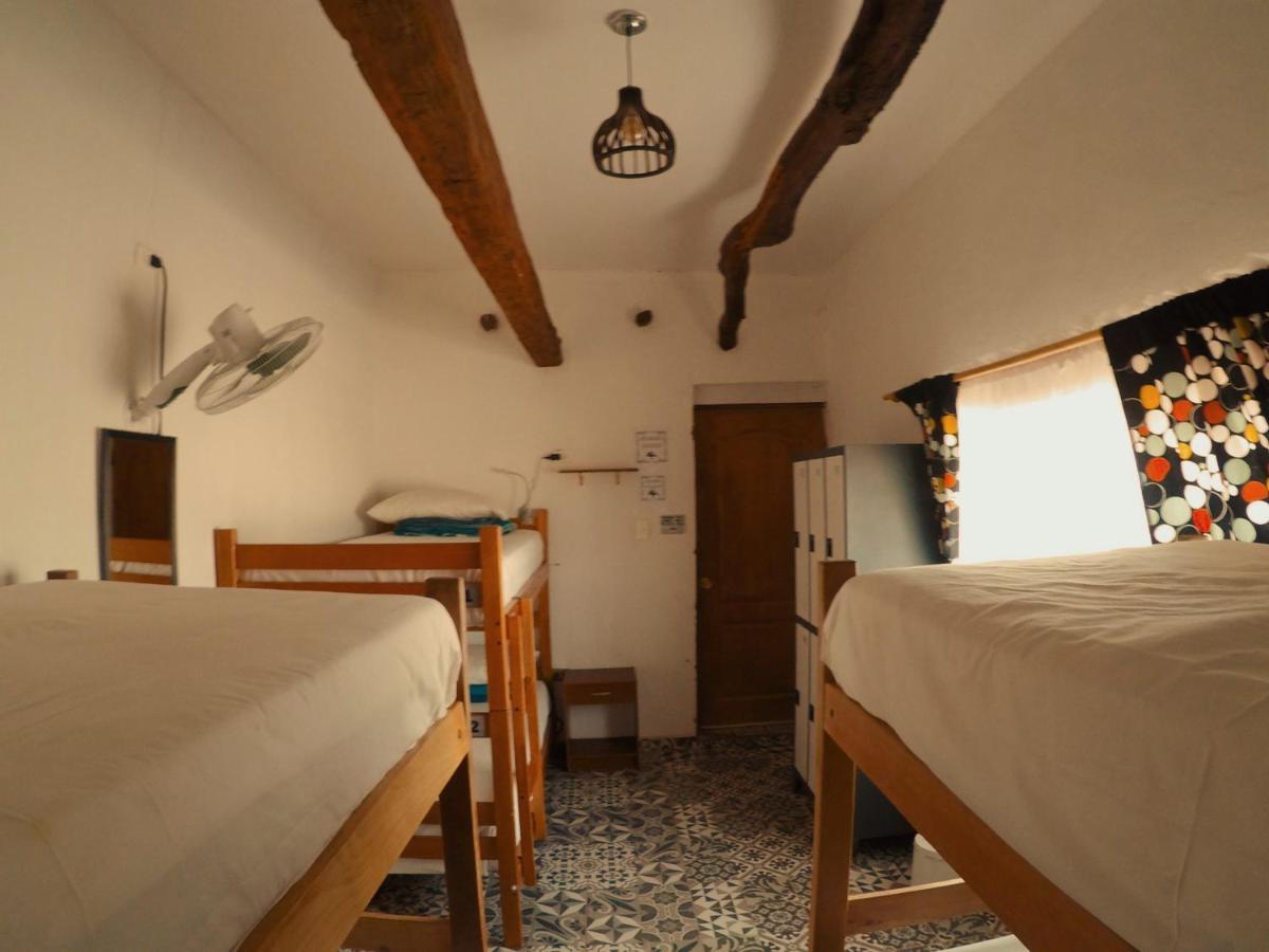 Rey Lagarto Hostel San Pedro De Atacama Zewnętrze zdjęcie
