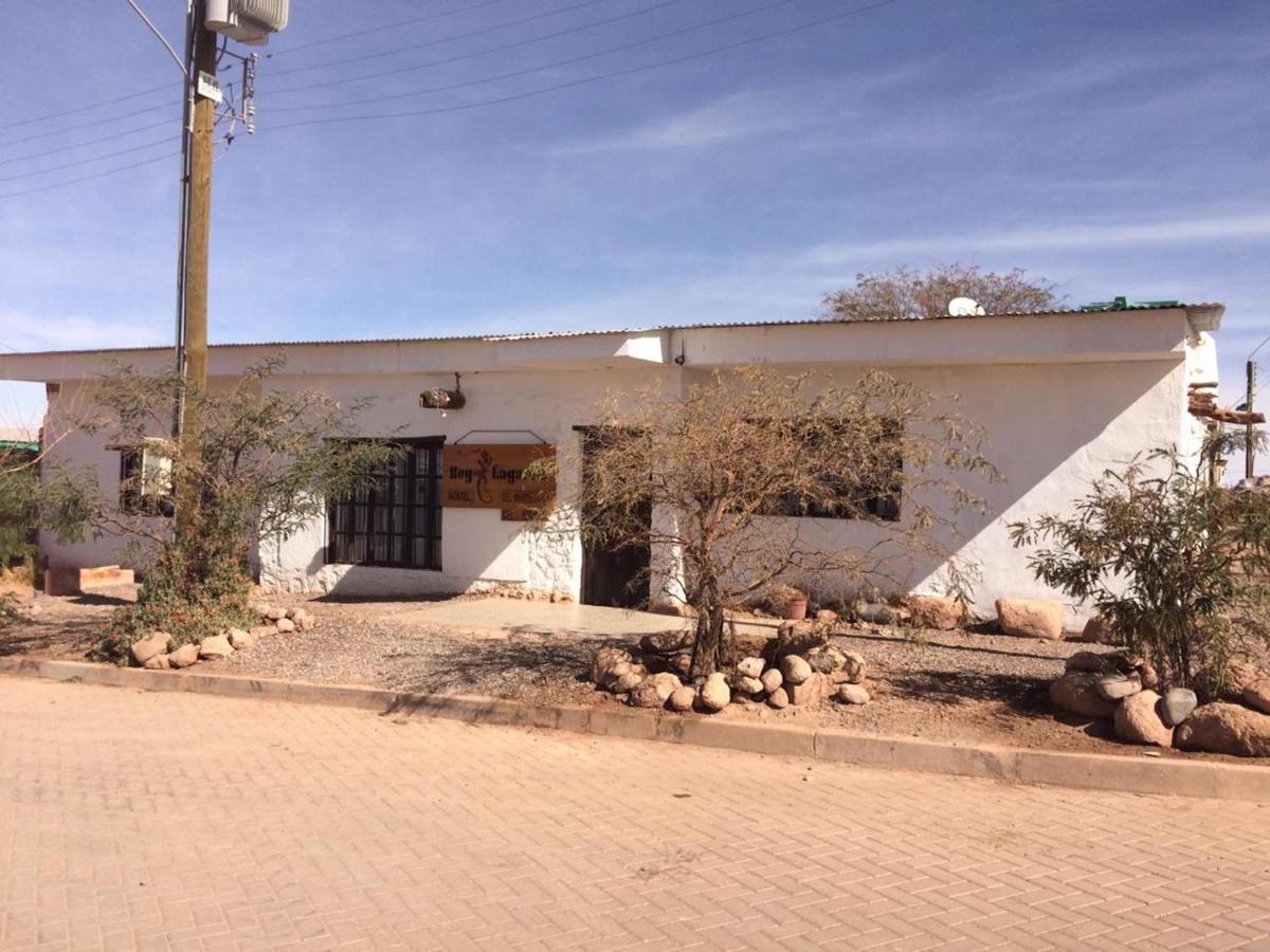 Rey Lagarto Hostel San Pedro De Atacama Zewnętrze zdjęcie